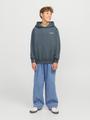 JORISLINGTON BACK SWEAT HOOD SN JNR 152 Locker geschnitten - Stormy Weather