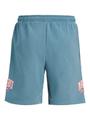 JPSTKANE JJDETROIT SWEAT SHORTS NA JNR 152 Locker geschnitten - Oceanview
