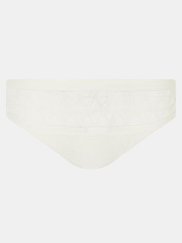Ace Shorty 40  - Milk