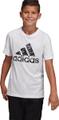 ADIDAS Kinder Shirt ID 116 in Grau