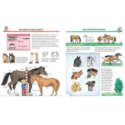 Ravensburger Buch - Wieso? Weshalb? Warum? - Alles über Pferde und Ponys