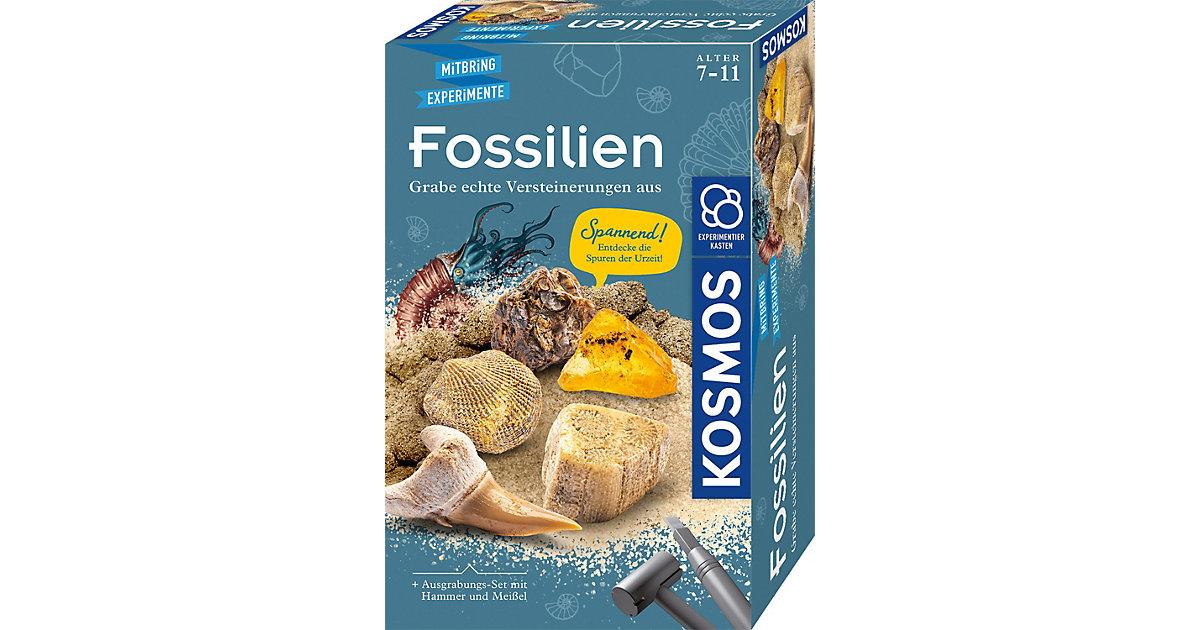 Ausgrabungs-Set Fossilien