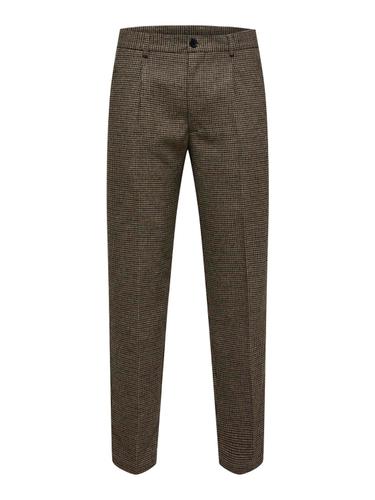 SLHREG-TROY TRS W 56 - Brownie