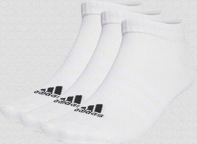 ADIDAS Herren T SPW LOW 3P XL in Pink
