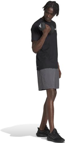 ADIDAS Herren Shorts TR-ES WV SHO XXL in Grau