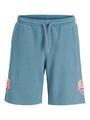 JPSTKANE JJDETROIT SWEAT SHORTS NA JNR 152 Locker geschnitten - Oceanview