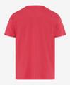 Style Ted Rosa XXL