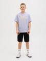 JJDETROIT TEE SS CREW NECK JNR 140 Locker geschnitten - Languid Lavender