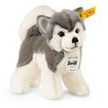 Steiff - Kuscheltiere - Haus- & Hoftiere - Bernie Husky, grau/weiß, 17cm