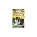Loewe Verlag Ponyhof Apfelblüte: Hannah und Pinto, Teil 4