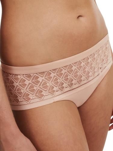 Ace Shorty 36 - Golden Beige