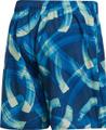 ADIDAS Herren Parley Allover Print Shorts S in Braun