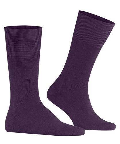 FALKE Airport Herren 45-46 - Wine Berry