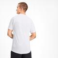 PUMA Herren T-Shirt Evostripe Tee S in Pink