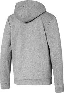 PUMA Herren Amplified Hooded Jacket FL L in Grau