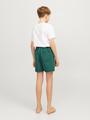 JPSTFIJI JJSWIM WB LY SN JNR 152 Normal geschnitten - Dark Green