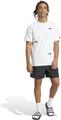 ADIDAS Herren Shorts Essentials Small Logo Chelsea S in Grau