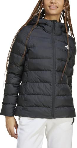 ADIDAS Damen Jacke SDP Insulated M in Grau