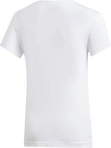ADIDAS Kinder T-Shirt Squad 164 in Grau