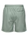 ONSTEL LIFE PLIZZE SHORTS NOOS M Normal geschnitten - Iceberg Green