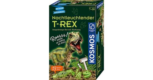 Nachtleuchtender T-REX