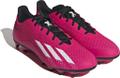 ADIDAS Herren Fussball-Rasenschuhe X SPEEDPORTAL.4 FxG 44 ⅔ in Pink