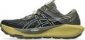 ASICS Herren Trailrunningschuhe GEL-Trabuco 13 GTX 46 in Grau