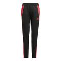 ADIDAS Kinder Sporthose Tiro 24 Slim Kids 152 in Schwarz