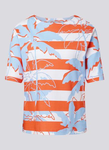 Coral Garden 36 - Mandarine