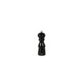 Pfeffermühle Paris Buche 18cm schwarz