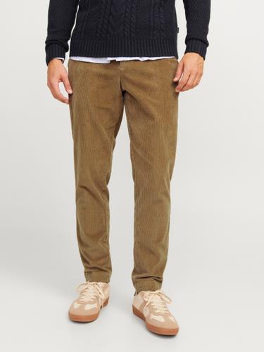JPSTACE CORDUROY CHINO SN 33/32 Verjüngt - Elmwood