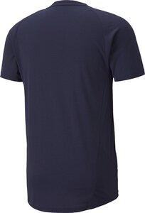PUMA Herren Shirt EVOSTRIPE S in Blau