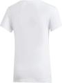 ADIDAS Kinder T-Shirt Squad 164 in Grau