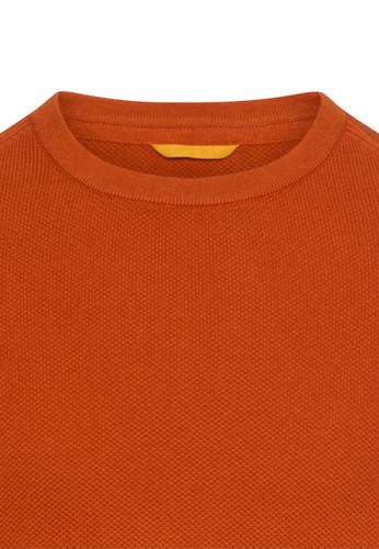 Pullover aus reiner Baumwolle M Regular Fit - Cinnamon