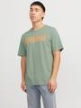 JJTEX TEE SS CREW NECK L Normal geschnitten - Iceberg Green