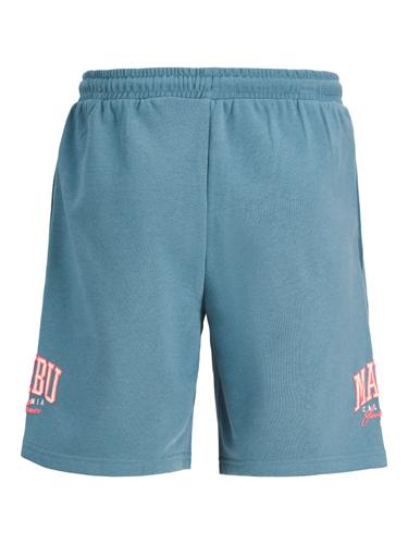 JPSTKANE JJDETROIT SWEAT SHORTS NA JNR 152 Locker geschnitten - Oceanview