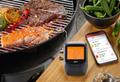 Gefu Grill- und Bratenthermometer Control Bluetooth 1 Kanal - Default Title