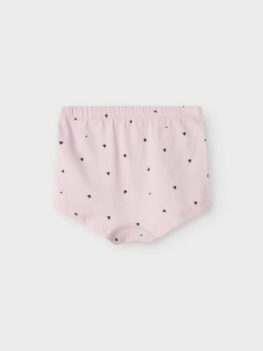 NMFTIGHTS 3P WINSOME HEARTS NOOS 86 - Winsome Orchid
