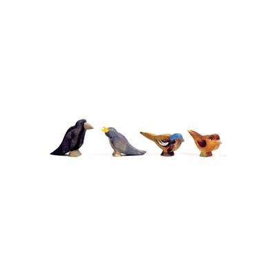 Amsel