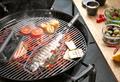 Fischbräter 'BBQ'