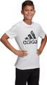 ADIDAS Kinder Shirt ID 116 in Grau