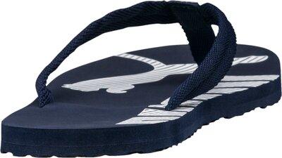 PUMA Herren Flip Flops Epic Flip v2 51 in Schwarz