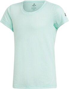 ADIDAS Kinder Trainingsshirt Training Prime 116 in Grün