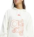 ADIDAS Damen Kapuzensweat French Terry Print S in Grau