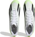 ADIDAS Herren Fussball-Rasenschuhe X CRAZYFAST.4 FxG 43 ⅓ in Grau
