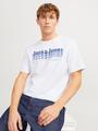 JJTEX TEE SS CREW NECK M Normal geschnitten - White