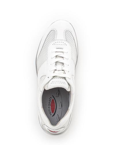 Sneaker low Elegante Schnürer FS 2023
