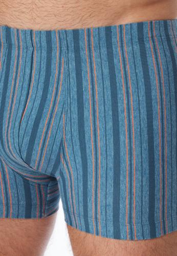 Shorts Blau 5