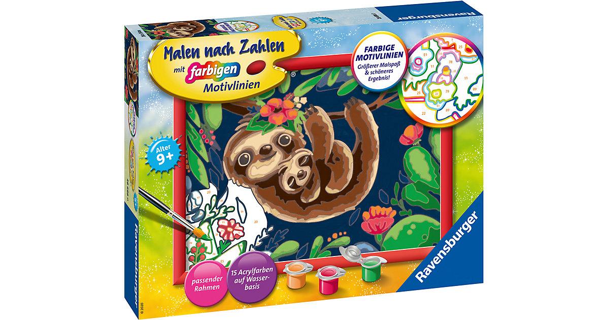 Malen nach Zahlen - Niedliche Faultiere