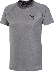 PUMA Herren Shirt RTG L in Grau